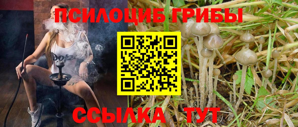 Псилоцибиновые грибы GOLDEN TEACHER Реж